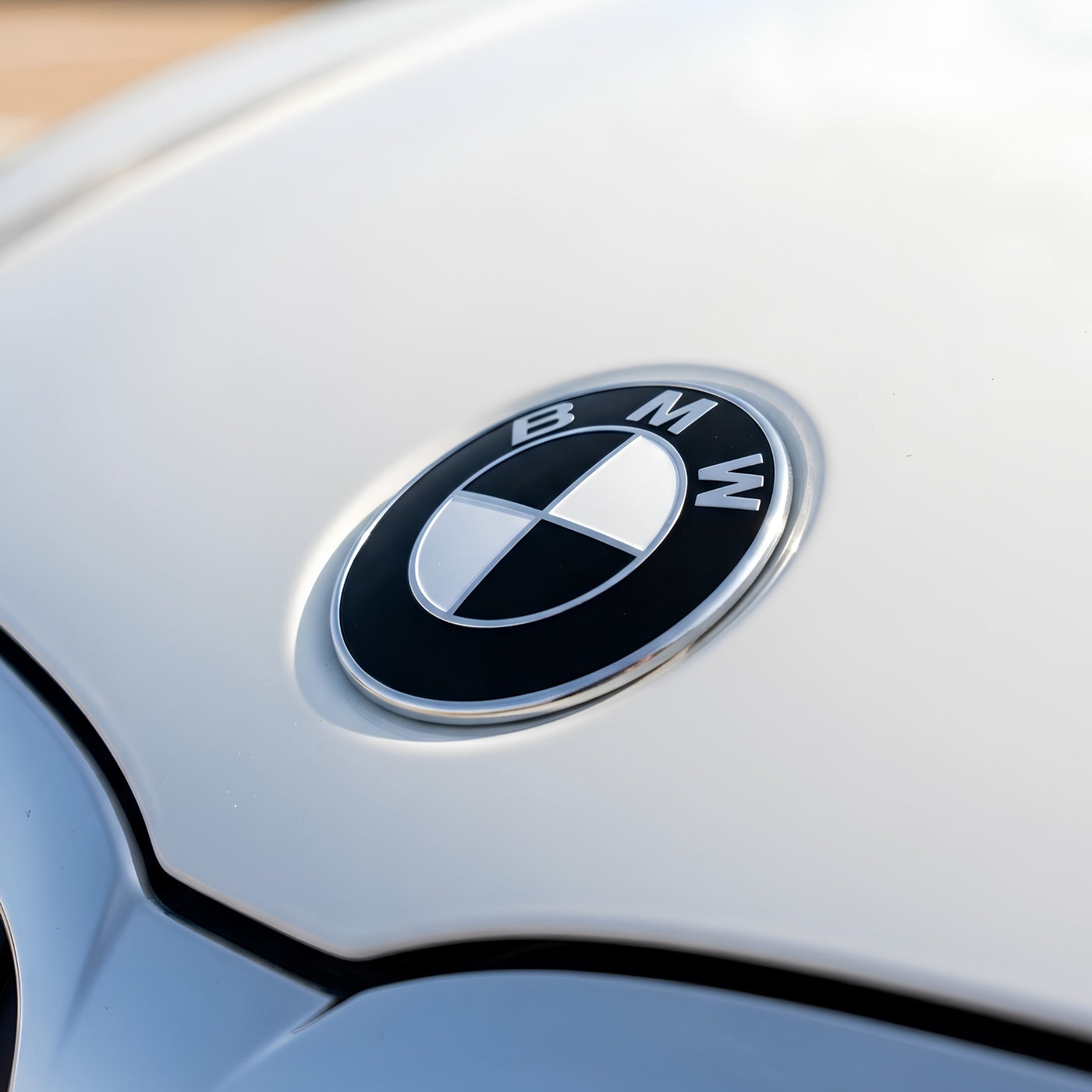 BMW Badge | Black & White