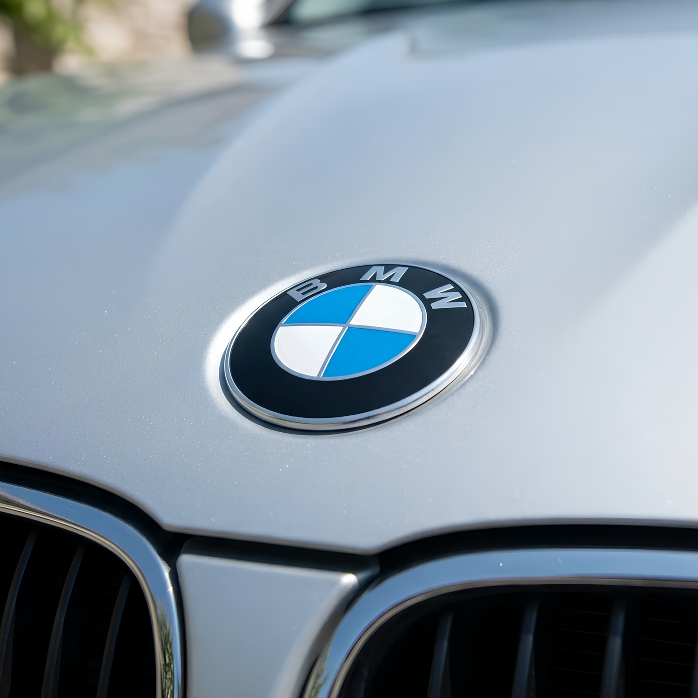 BMW Emblem | Klassisches Blau