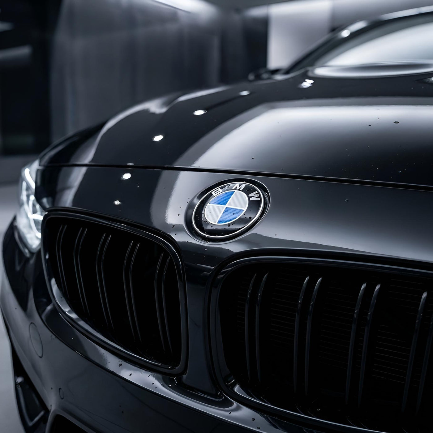 Emblem | Blau & Grau - BMW Kompatibel