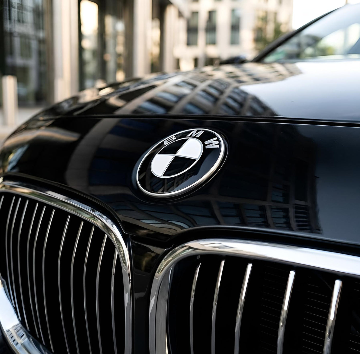 Emblem | Schwarz & Weiß - BMW Kompatibel