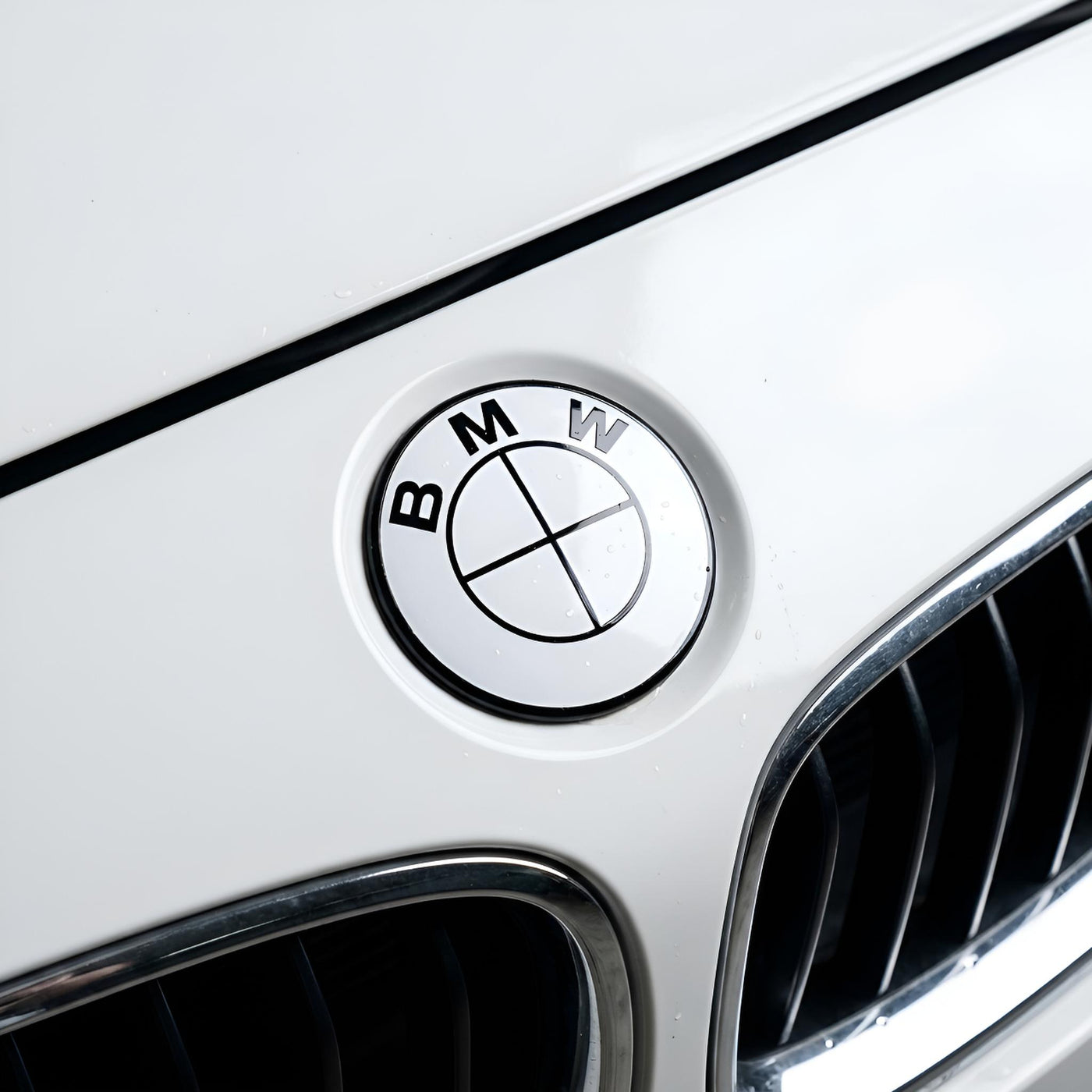 Emblem | Glänzendes Weiß - BMW Kompatibel