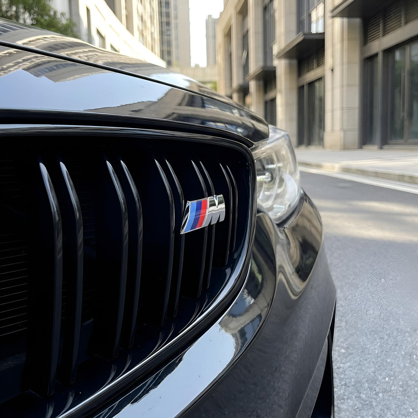 BMW Kidney Grille ///M Badge